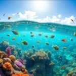 ¿Qué es un ecosistema marino?